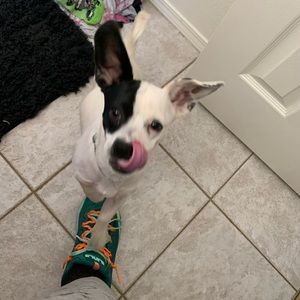 Meet your Posher, Alexus